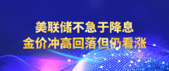 美联储不急于降息，金价冲高回落但仍看涨
