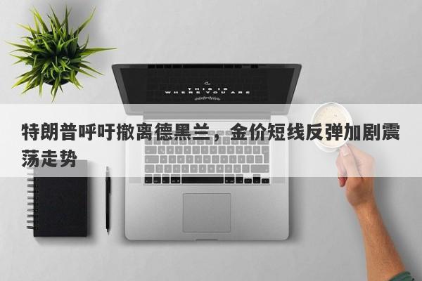 特朗普呼吁撤离德黑兰，金价短线反弹加剧震荡走势