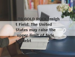 LTG GOLD ROCK Insight Field: The United States may raise the upper limit of federal debt