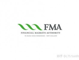 LTG GOLDROCK Teaching Field: Introduce the New Zealand Financial Market Authority